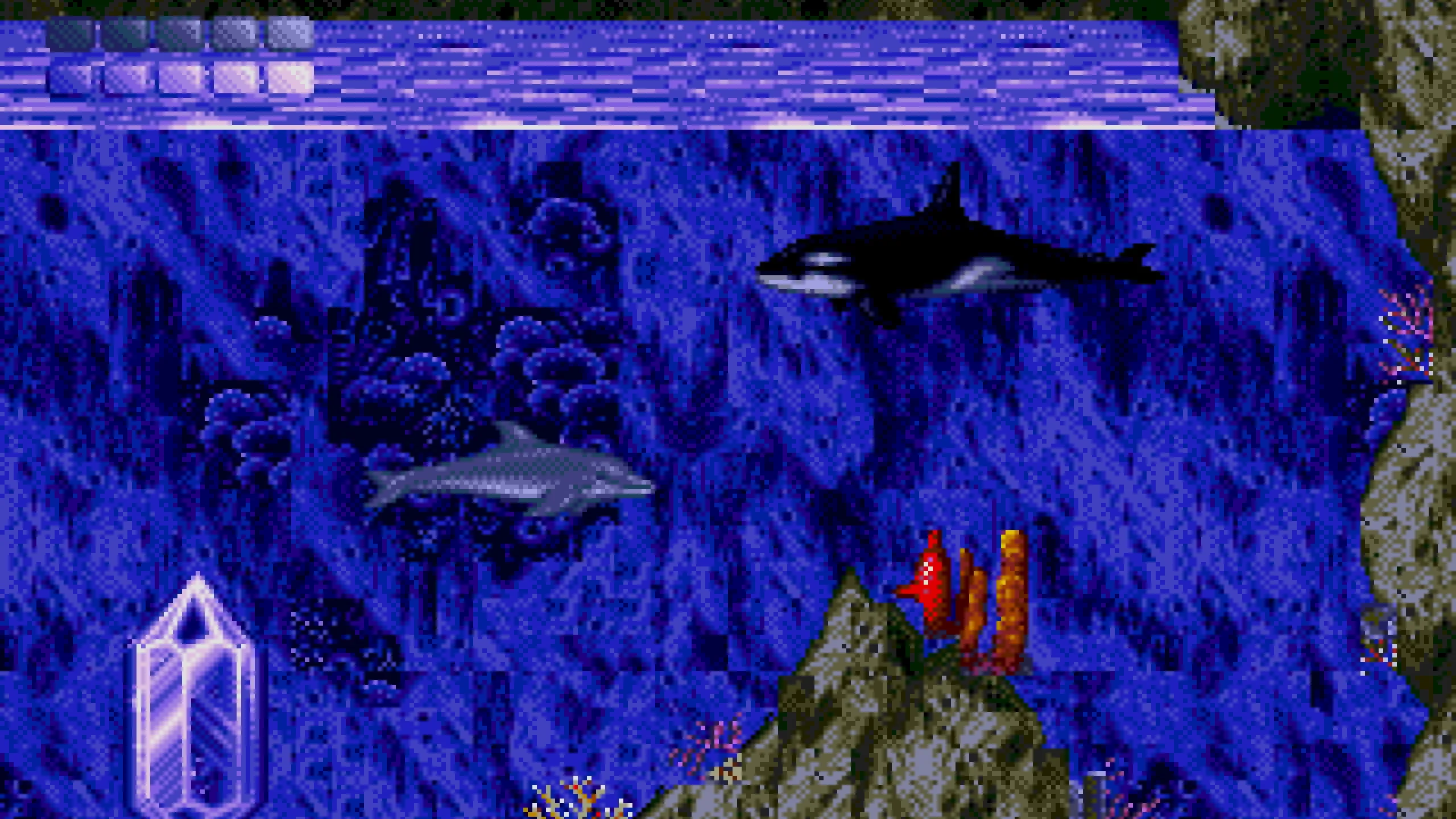 Ecco the Dolphin Creepypasta